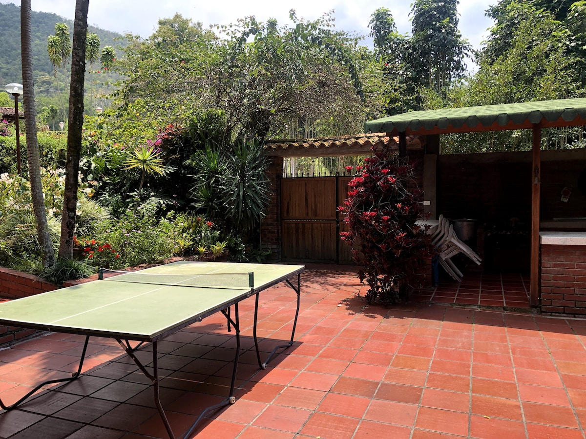 An outdoor area features a green-topped table tennis table set on terracotta tiles. Lush foliage, including flowering plants, surrounds the space, with a wooden gate leading to a garden. A shaded patio area is visible in the background, enhancing the outdoor atmosphere.