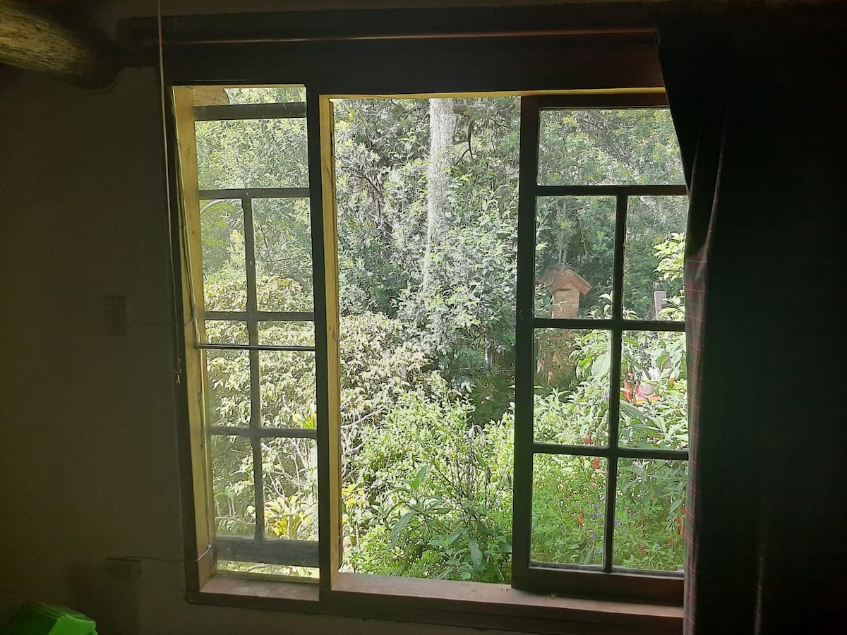 A wooden window frame opens to reveal a lush garden surrounded by trees. Natural light fills the interior, highlighting the vibrant greens of the plants outside. The view conveys a sense of tranquility and connection to nature.