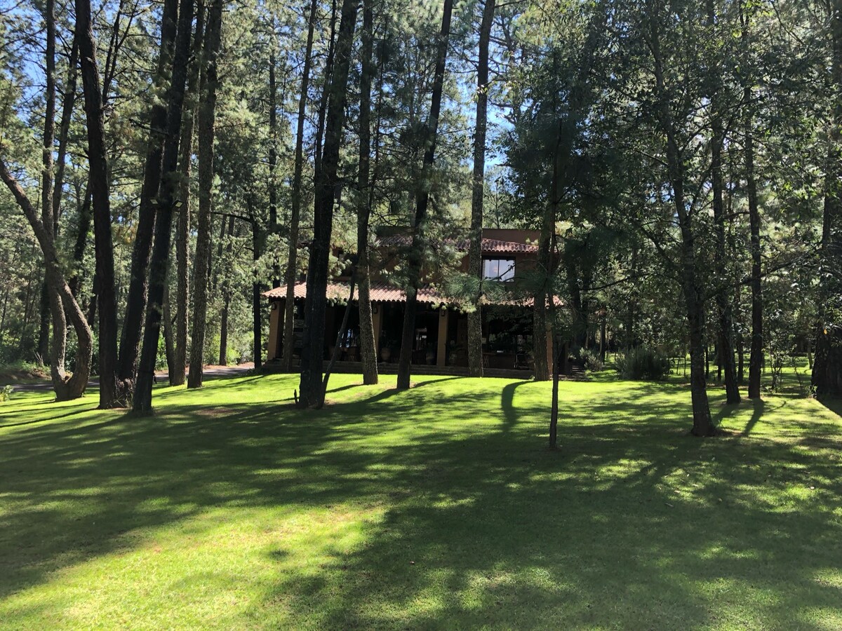 3BR Cabin in Tapalpa — 3 bedroom vacation rental in Tapalpa