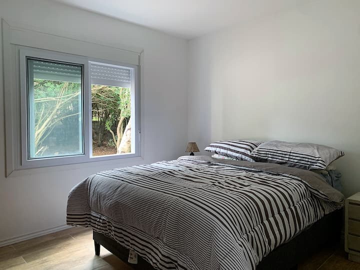 غرفة النوم الرئيسية - غرفة نوم جديدة.