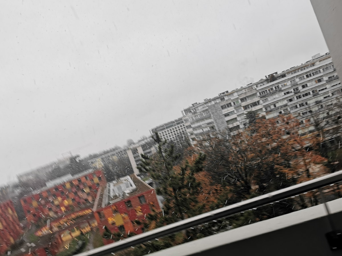 The image captures a snowy scene from a balcony, showing buildings with a mix of red and white facades. A sparse landscape is visible in the foreground, featuring trees and shrubs, while the sky is overcast, creating a serene atmosphere.