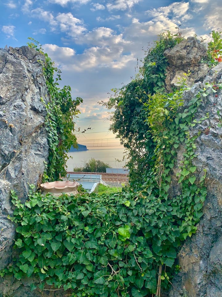 Villa Tea Fiuzzi - Fronte Mare - Praia a Mare