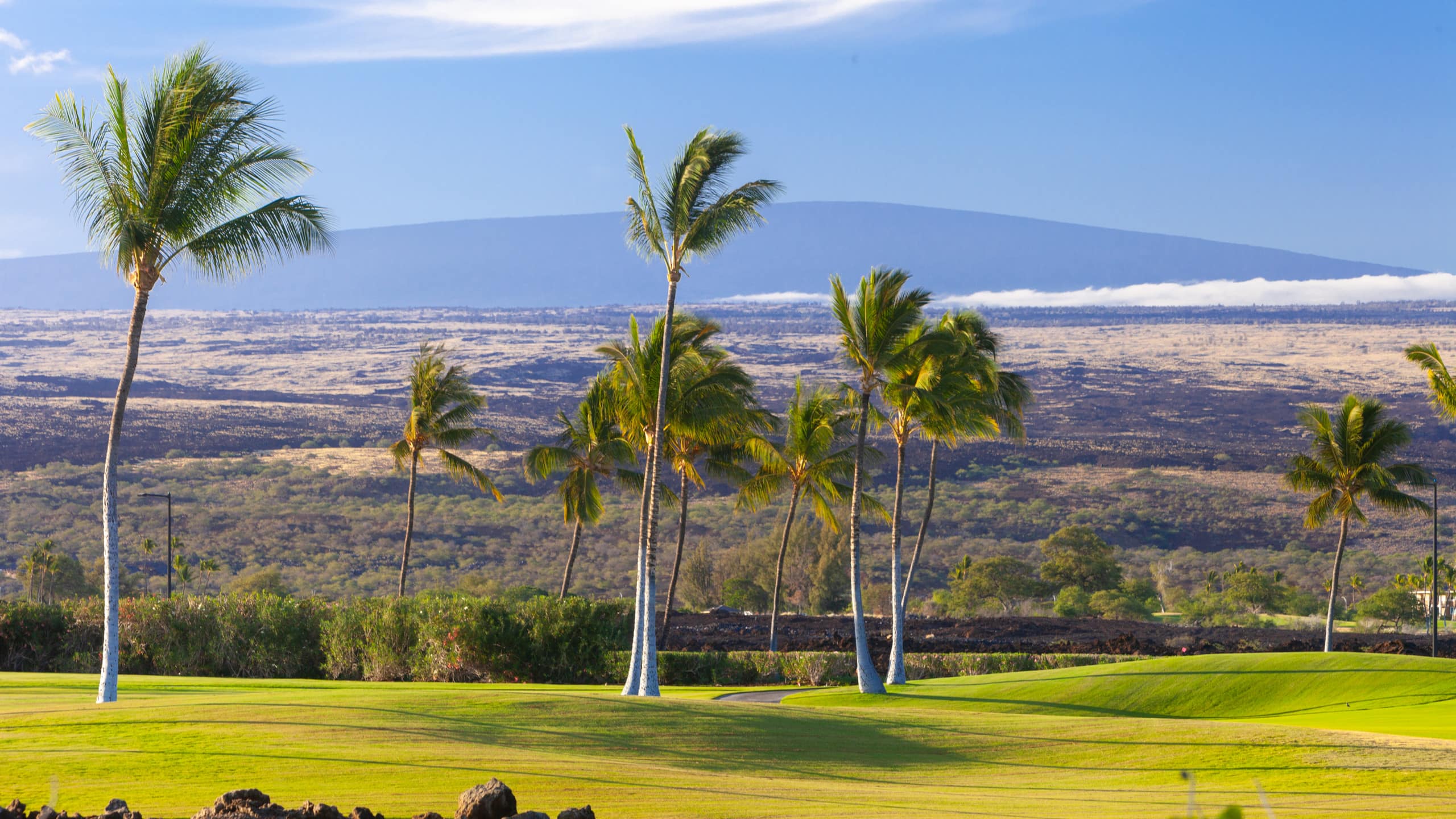 Home in Waimea · ★5.0 · 4 bedrooms · 5 beds · 4.5 baths - Image 84