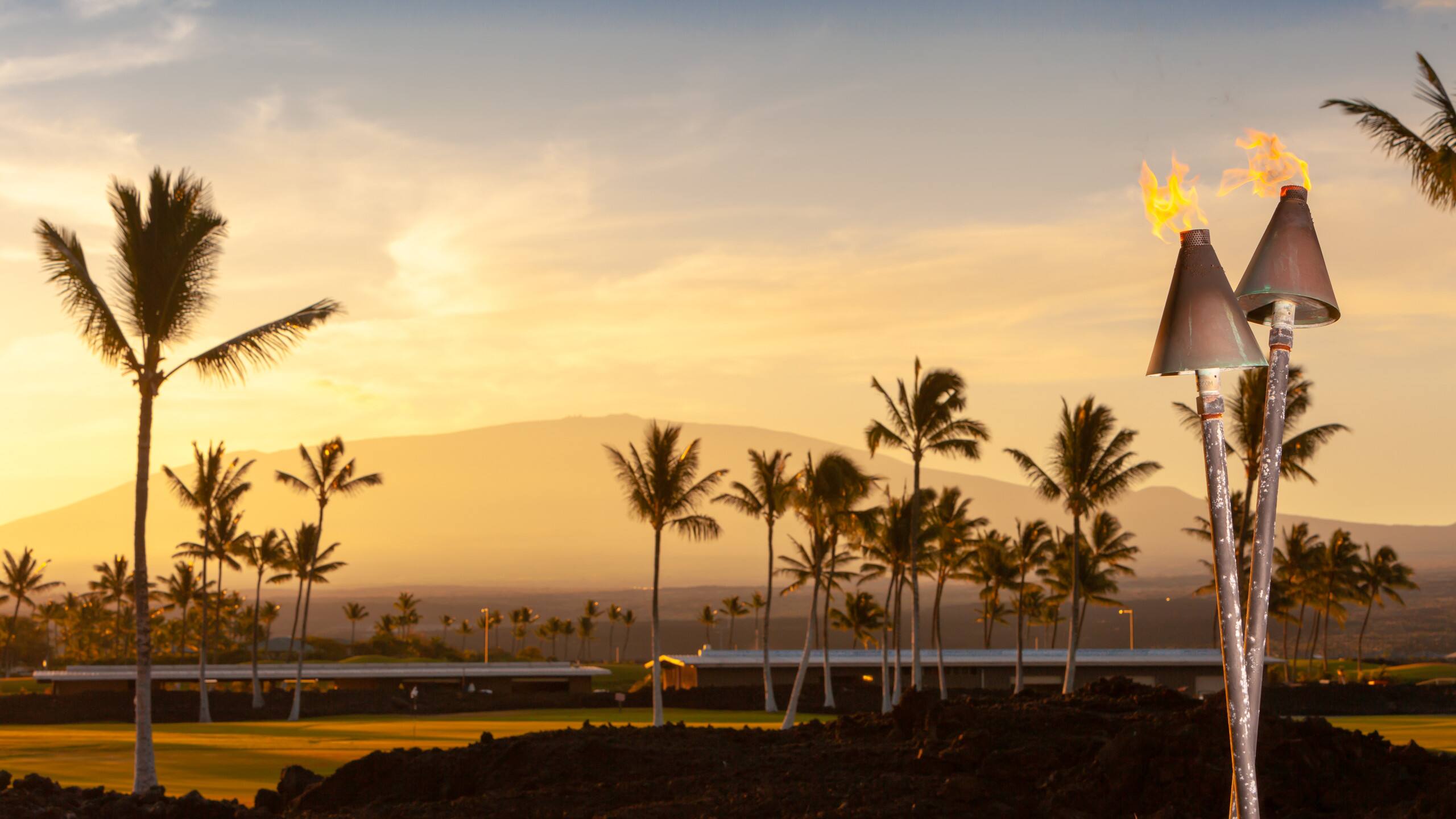 Home in Waimea · ★5.0 · 4 bedrooms · 5 beds · 4.5 baths - Image 88
