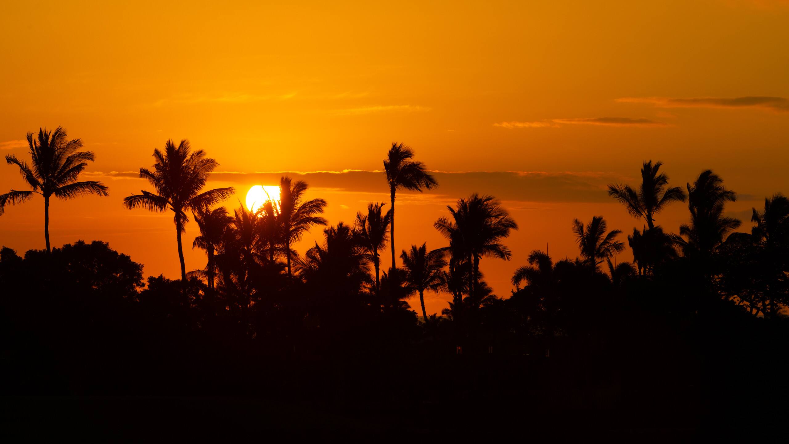 Home in Waimea · ★5.0 · 4 bedrooms · 5 beds · 4.5 baths - Image 89