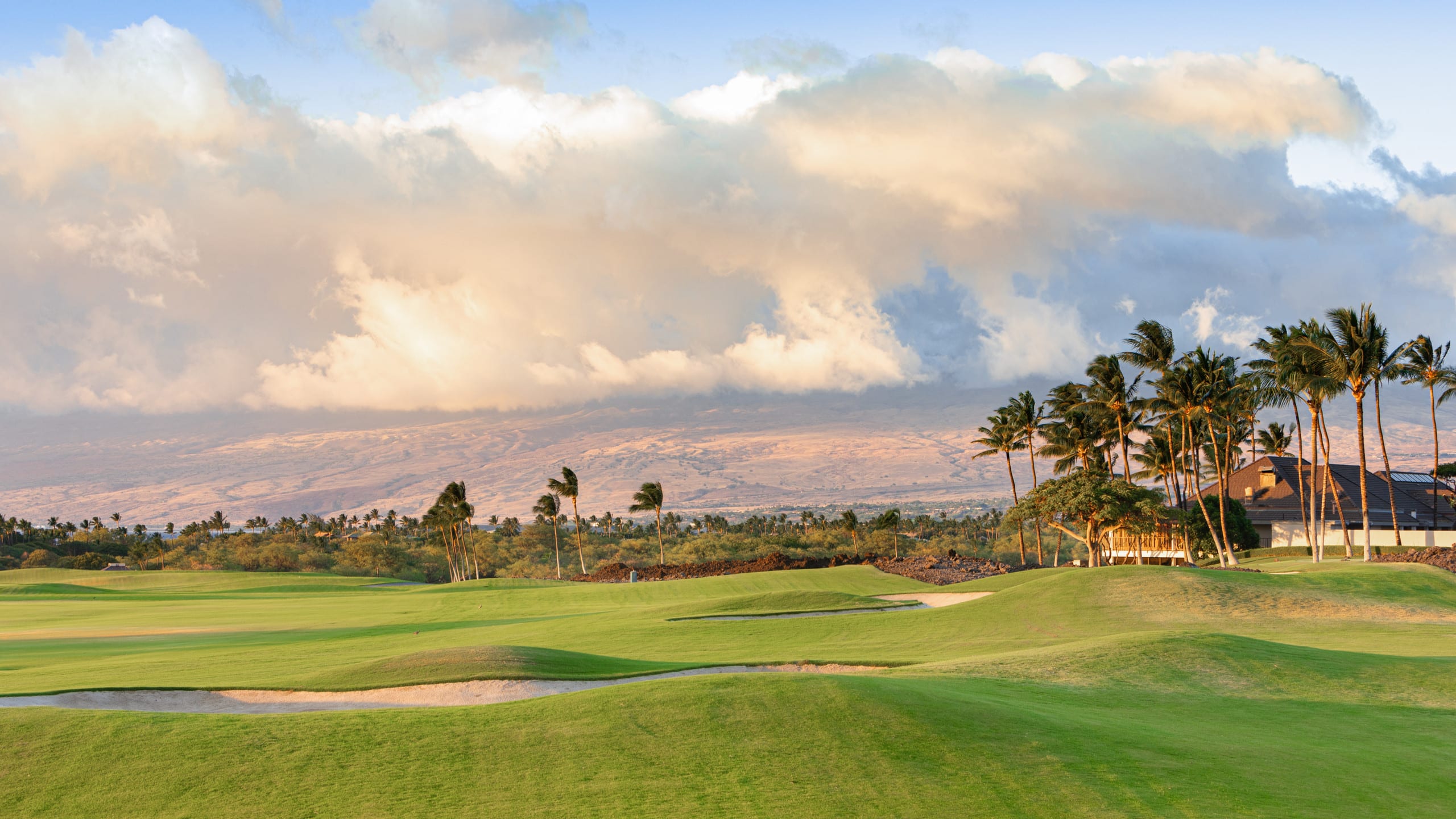 Home in Waimea · ★5.0 · 4 bedrooms · 5 beds · 4.5 baths - Image 85