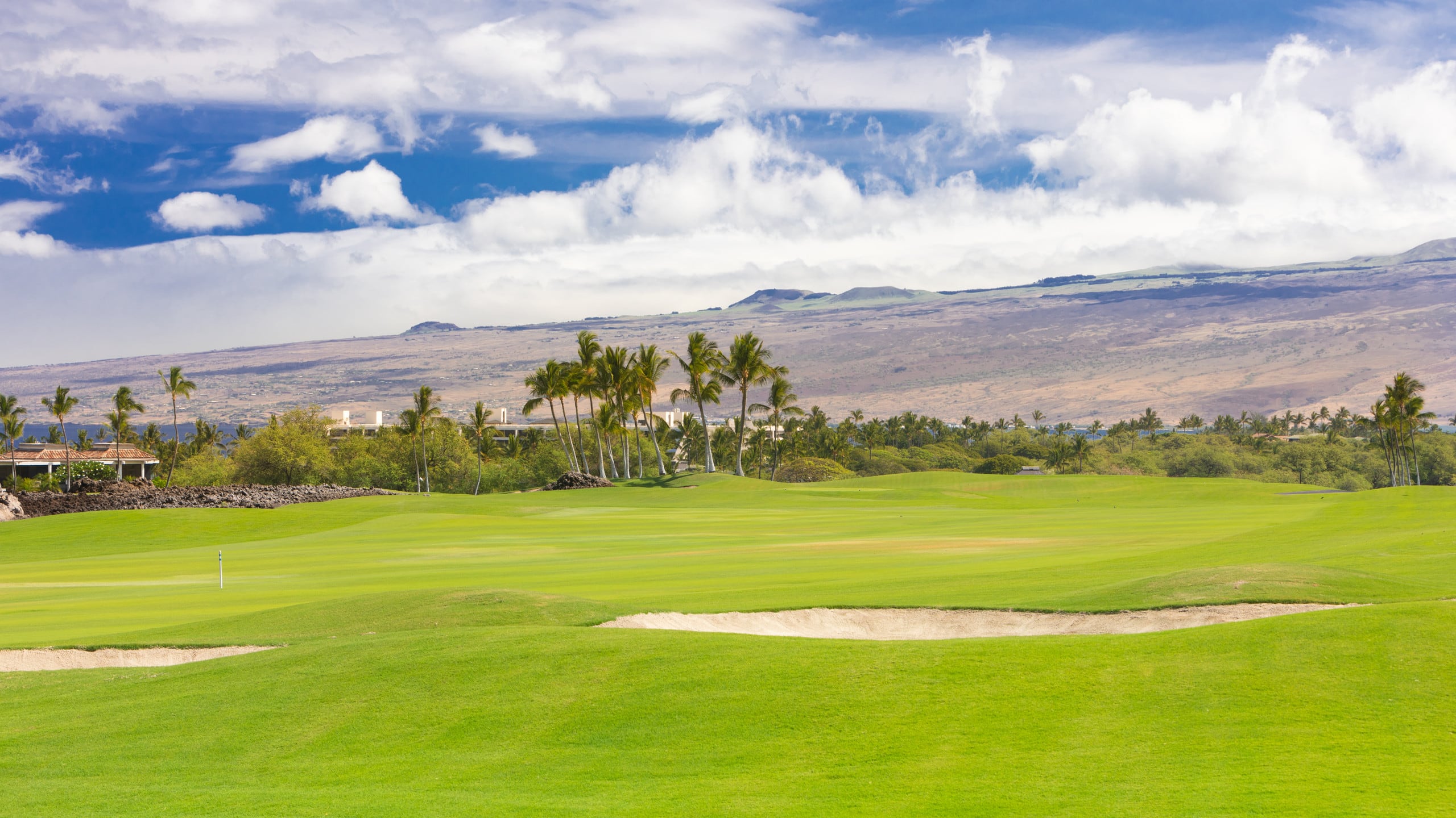Home in Waimea · ★5.0 · 4 bedrooms · 5 beds · 4.5 baths - Image 86