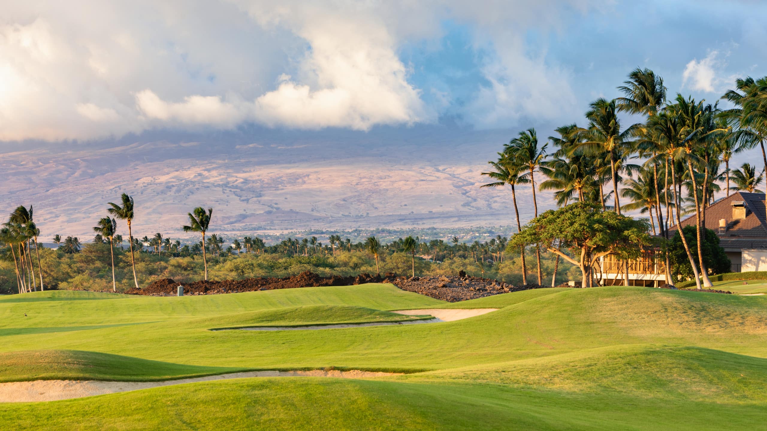 Home in Waimea · ★5.0 · 4 bedrooms · 5 beds · 4.5 baths - Image 87