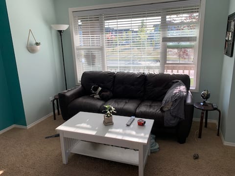 Successful Airbnb property: Pet/Family friendly in the heart of Silverado in Silverado