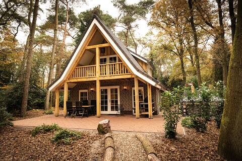 Luxury dune villa with wellness on the edge of the forest
