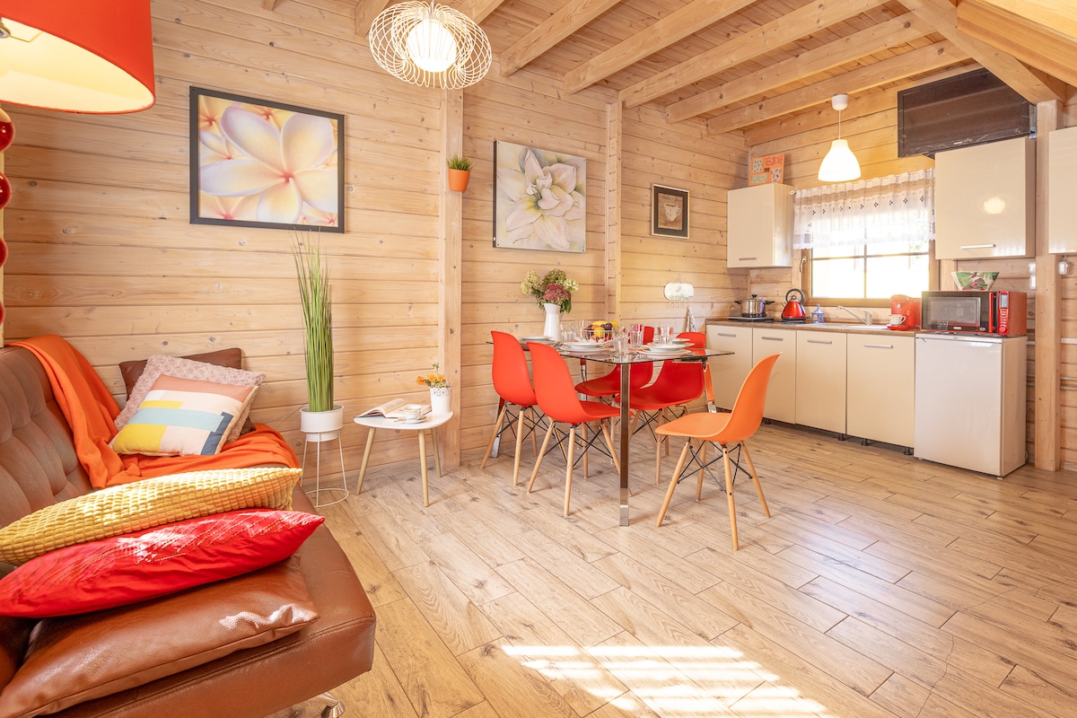 A light-filled living area features wooden walls and a high-beamed ceiling. A comfortable sofa with colorful cushions sits beside a dining table surrounded by stylish orange chairs. The kitchen is equipped with modern appliances and decorative plants enhance the inviting decor.