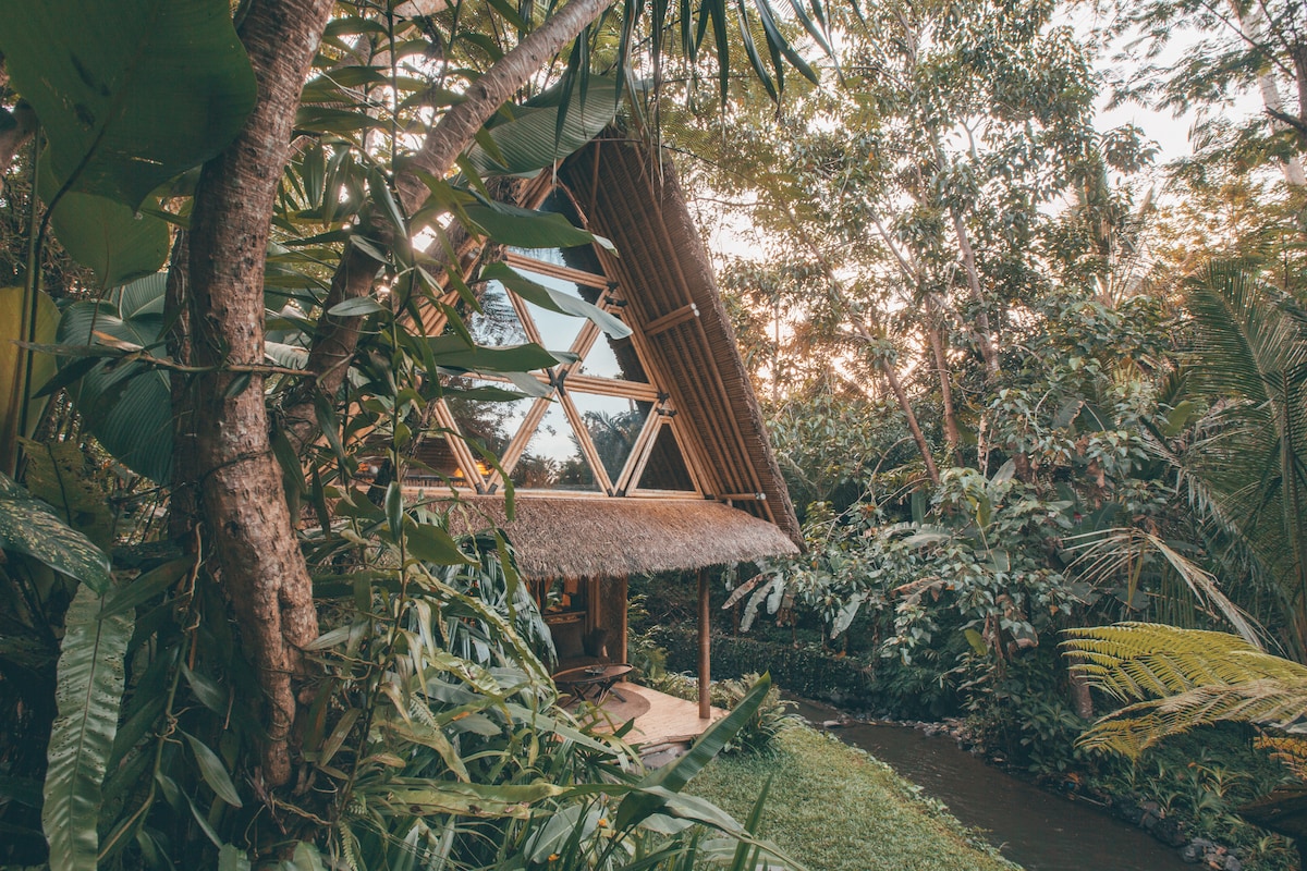 A uniquely designed bamboo house is framed by lush tropical vegetation, showcasing a thatched roof and large glass panels that offer views of the surrounding nature. A small stream runs beside the property, enhancing the tranquil atmosphere of the eco-friendly hideaway.
