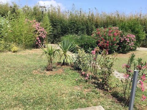 Charming T3 duplex design villa