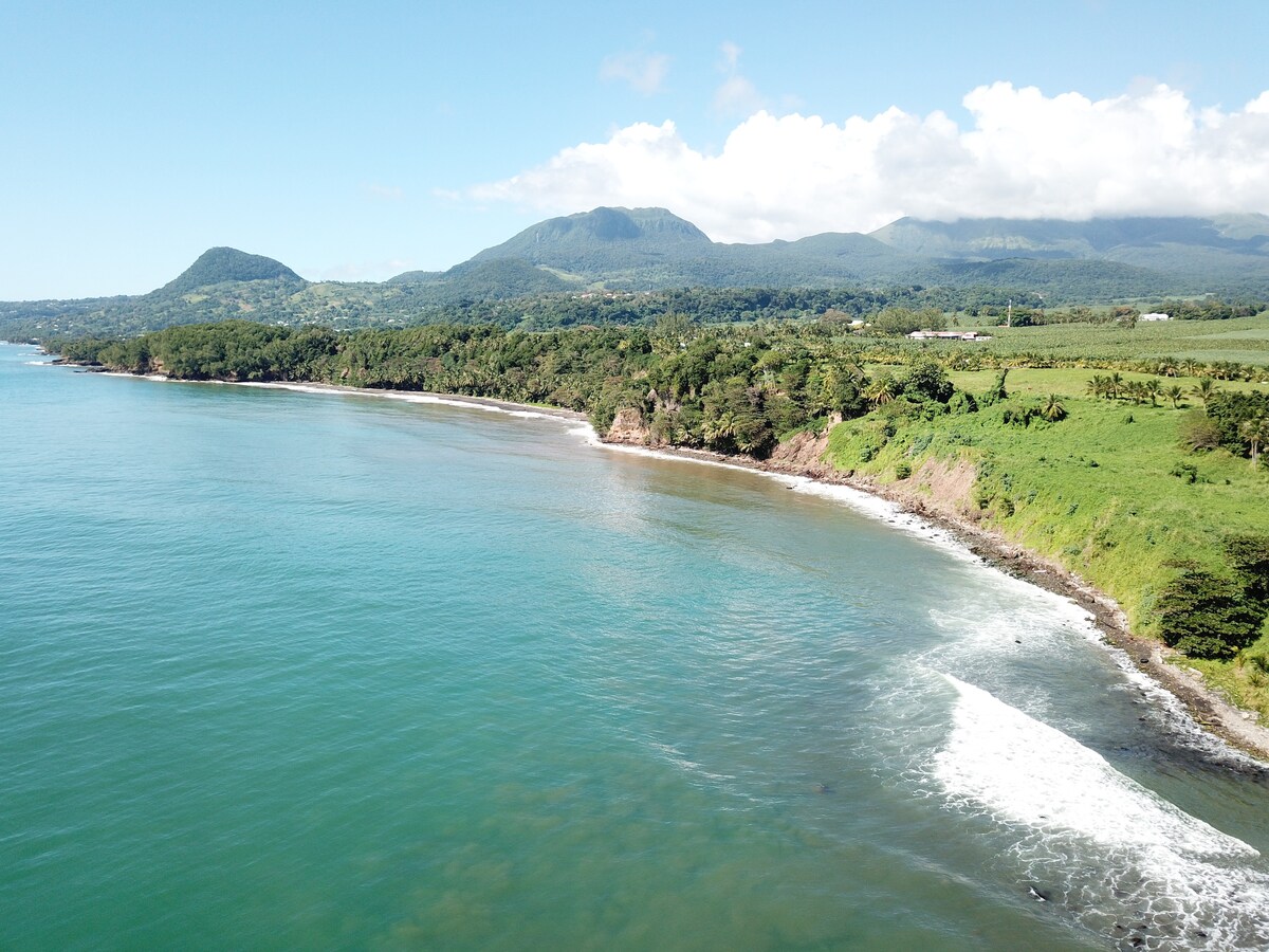 A scenic coastal view captures the shoreline with gentle waves lapping at the sandy beach. Lush greenery and rolling hills rise in the background, while majestic mountains stretch under a clear blue sky with a few fluffy clouds.