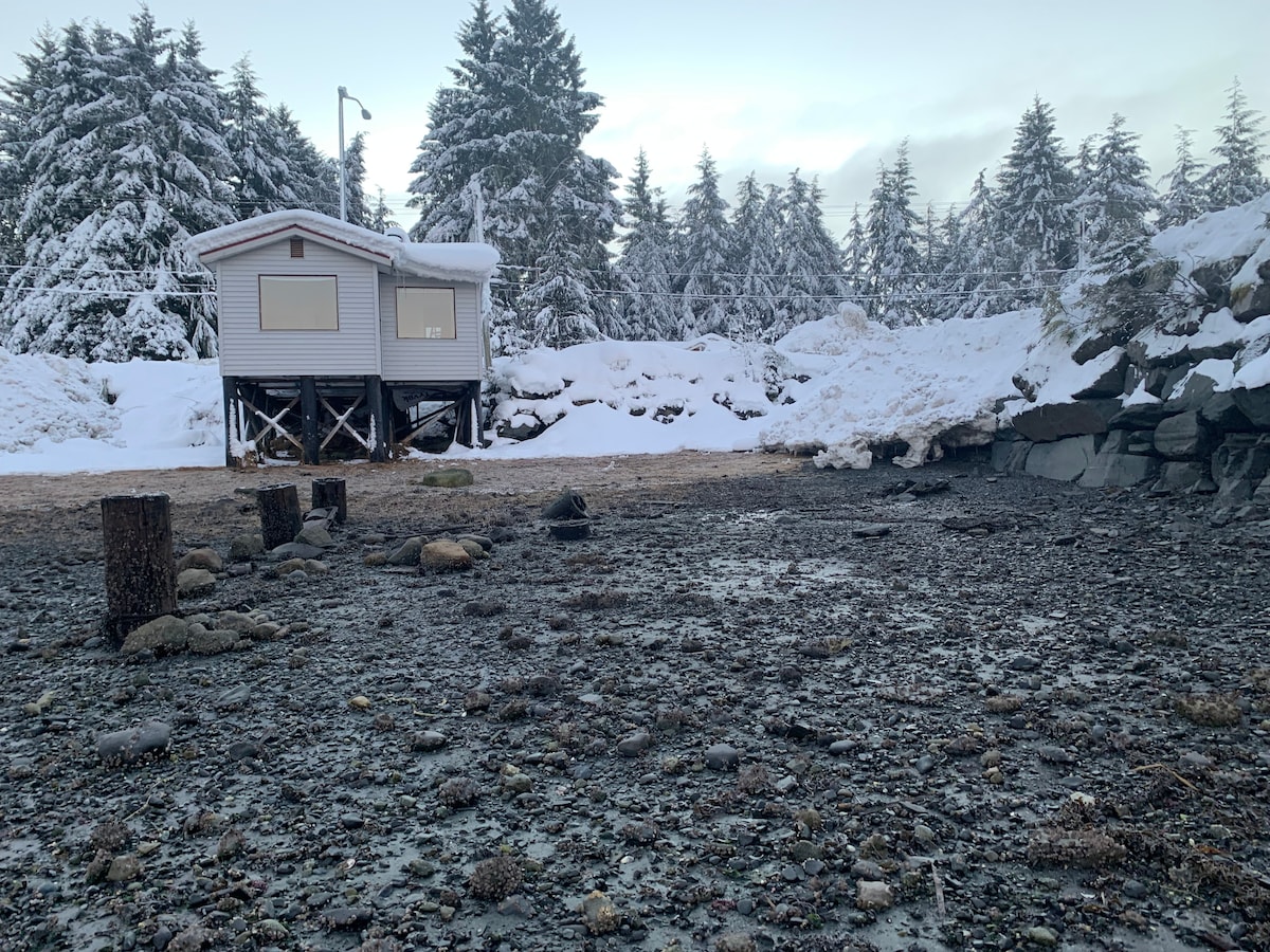 A small cottage is elevated on stilts, surrounded by a snowy landscape. The shoreline features dark rocky terrain with patches of wet sand. Tall evergreen trees line the background, creating a serene winter scene.