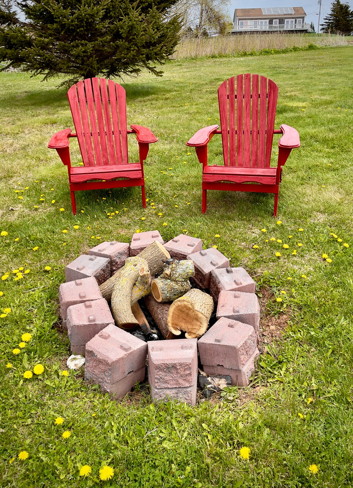 Two red Adirondack chairs are positioned around a stone fire pit, which contains logs ready for a fire. The grassy area is dotted with yellow dandelions, and a tree stands in the background, providing a natural setting.