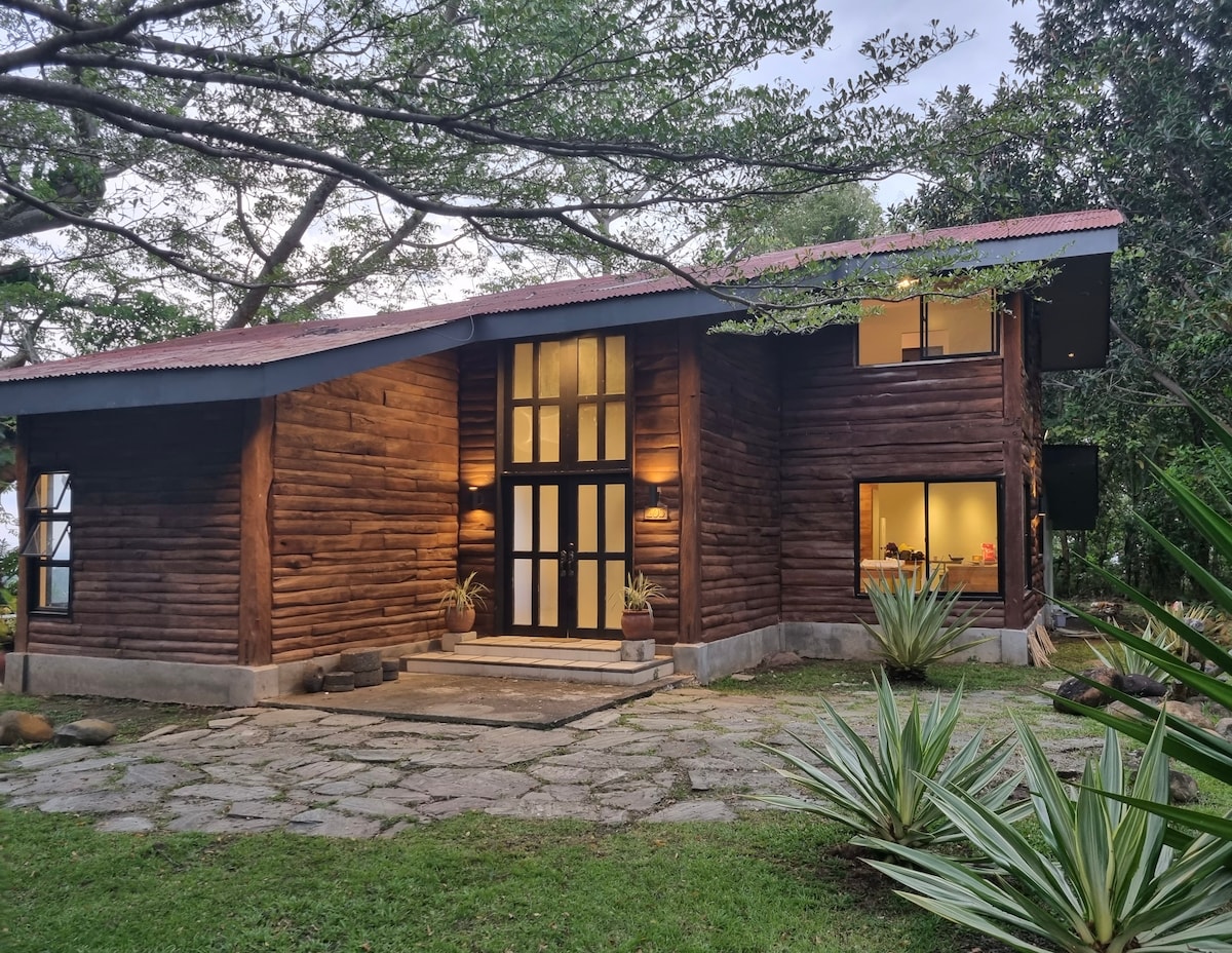 The exterior of a wooden house showcases a unique architectural design with large glass windows framed by dark wood. A stone pathway leads to the entrance, surrounded by lush greenery and potted plants that enhance the natural setting.