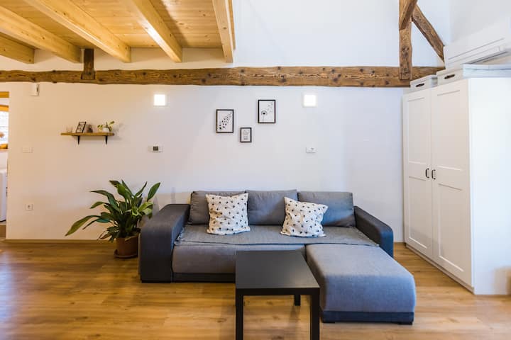 Timeless Barn - Swallows Apartment - Lubiana