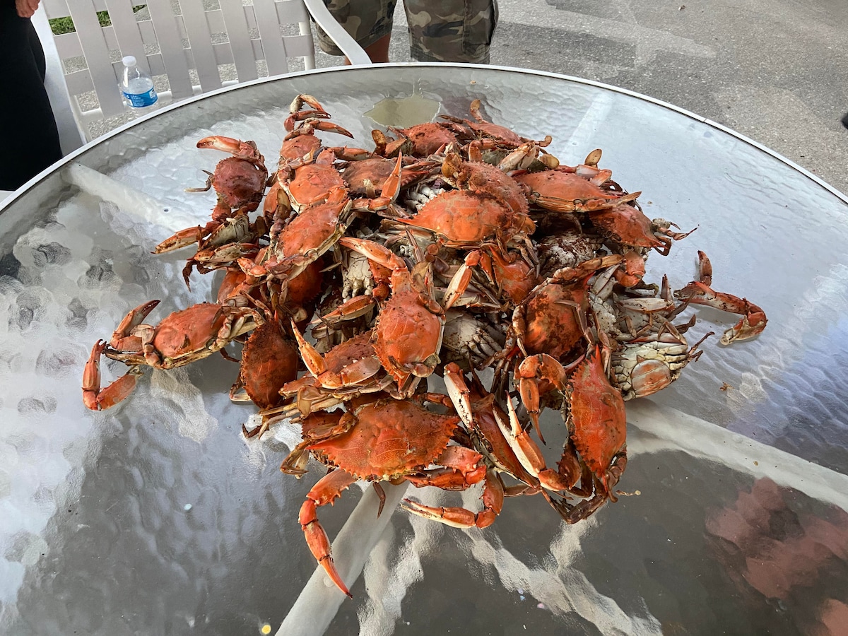 A large platter is filled with freshly caught blue crabs, their orange shells glistening under the natural light. The crabs are arranged in a casual pile on a glass-topped table, creating an inviting seafood display.