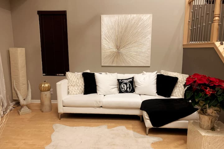 Beautiful Luxury Family House 20 Mins  Downtown - Chicago, IL