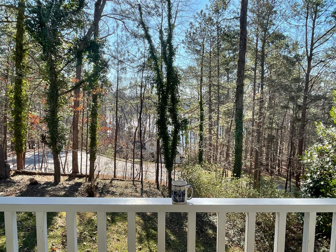 House with private pool nr Lake Lanier
