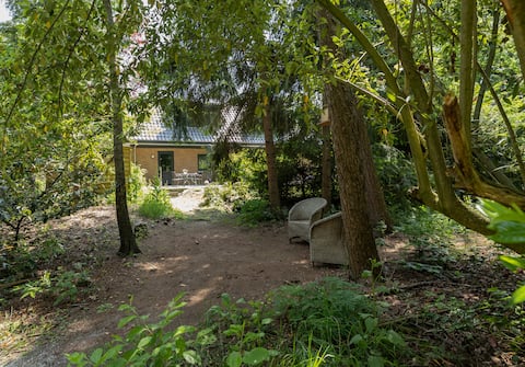 Successful Airbnb property: Lovely place in the forest in Lunteren
