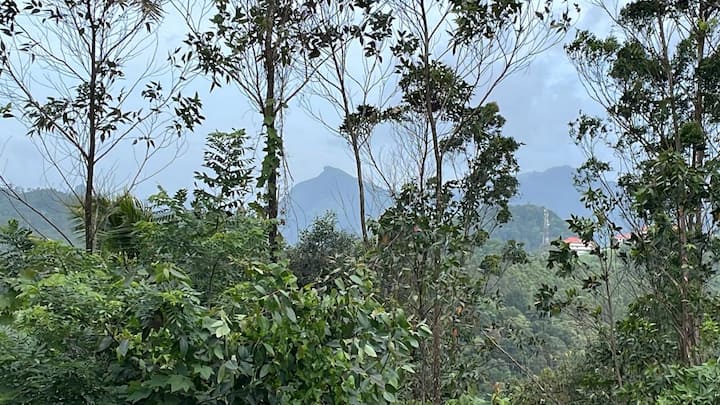 Amazing Eleven Bhk  Munnar - Munnar