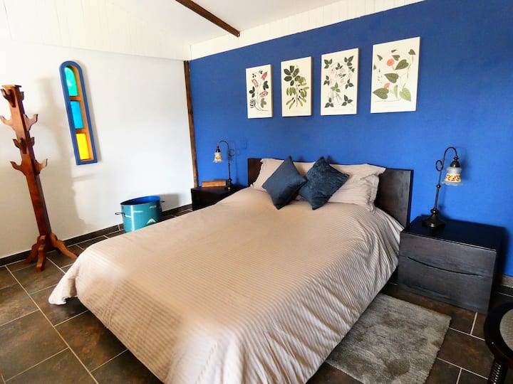 הכחול של החדר יוצר אווירה שלווה ומרגיעה