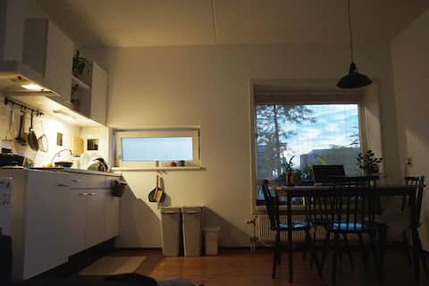 Cozy apartment in the heart of Roombeek, Enschede