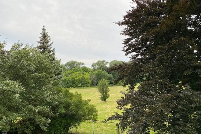 A tranquil backyard view is displayed, featuring a lush green field bordered by a fence. Various trees frame the scene, including tall pines and leafy shrubs, creating a natural and serene atmosphere. Overcast skies provide soft, diffused lighting.