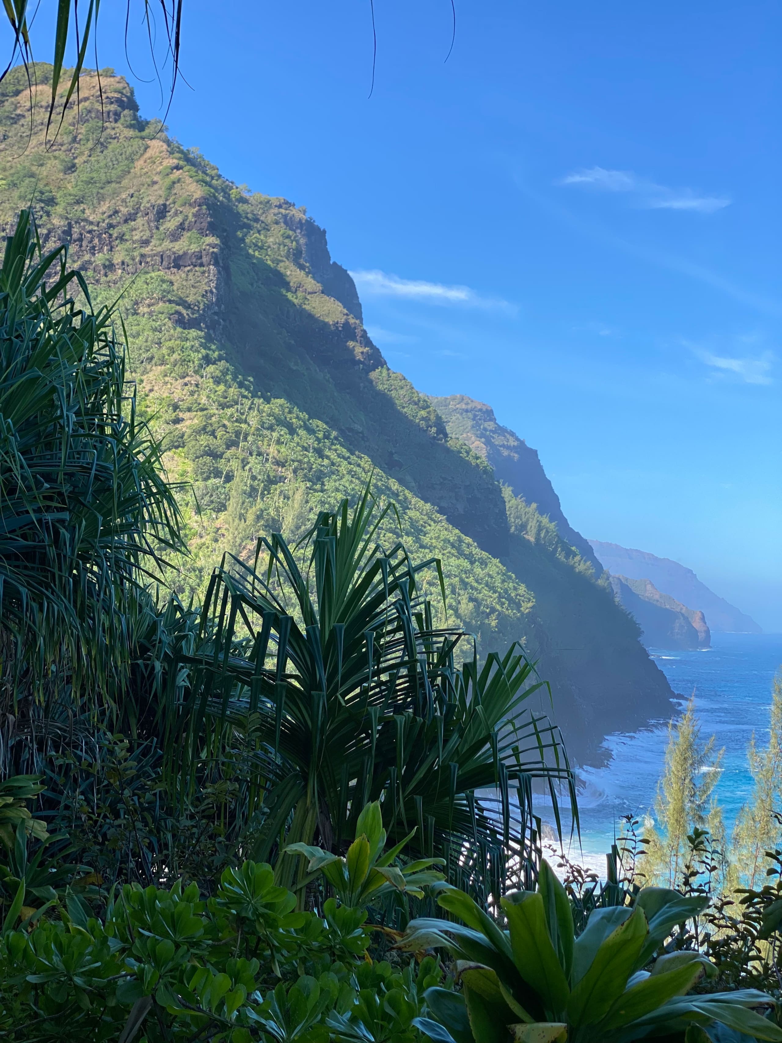 Kaiolohia Hale Haena Walk to Tunnels Beach - Photo 26