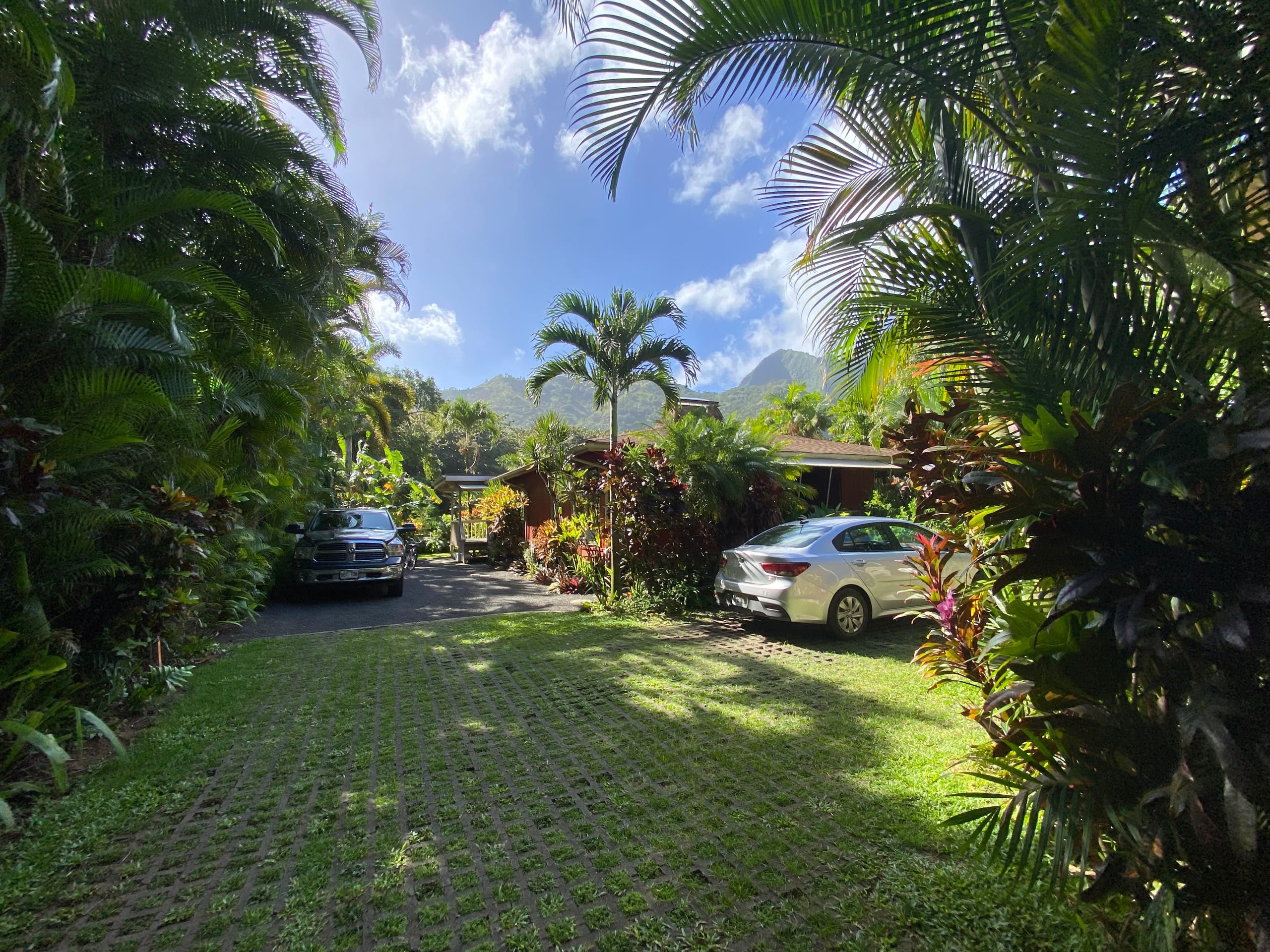 Kaiolohia Hale Haena Walk to Tunnels Beach - Photo 19