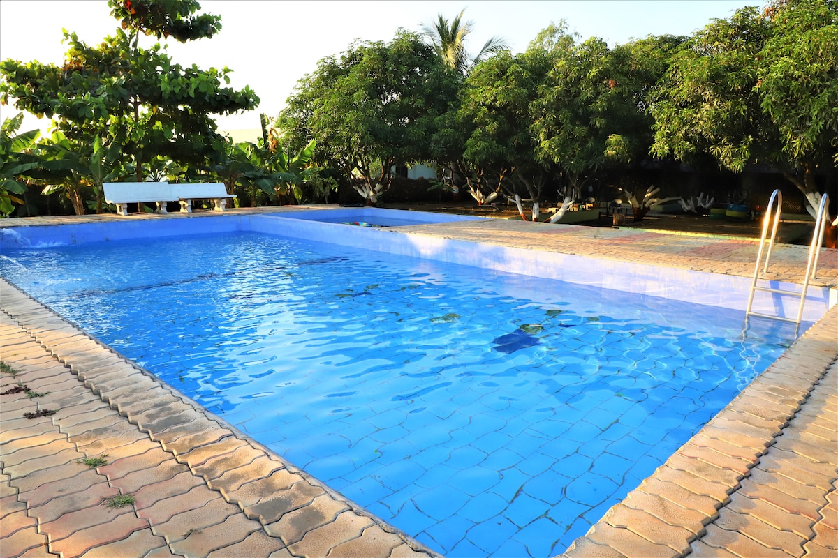 A swimming pool is surrounded by lush greenery, offering a serene outdoor space. The water is calm and reflects the clear sky, while the pool area features tiled flooring and a ladder for easy access.
