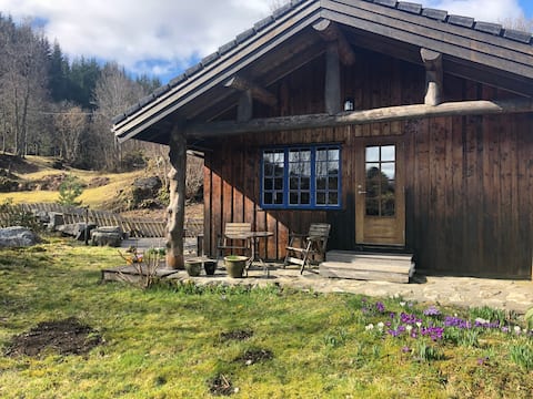 Cheerful, distinctive, indoor fireplace + guest cabin