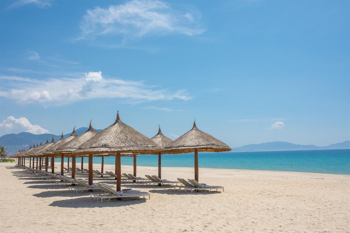 A serene beach scene features multiple thatched umbrellas providing shade over loungers, arranged in neat rows along a sandy shore. Crystal-clear waters extend to the horizon under a bright blue sky, while soft clouds complete the tranquil coastal setting.