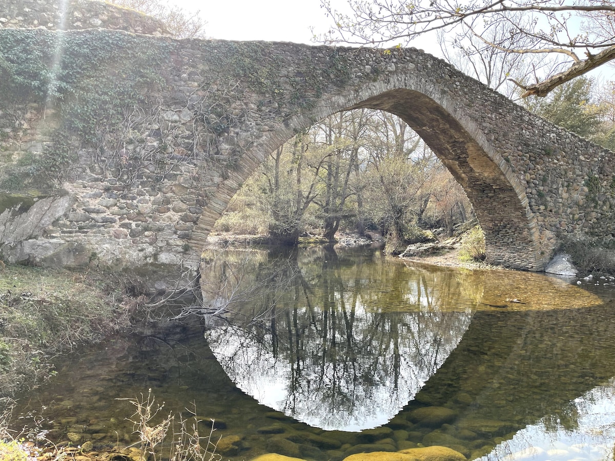 An ancient stone bridge arches gracefully over a calm river, reflecting its shape and surrounding trees in the clear water below. Sunlight filters through the branches, creating soft patterns on the landscape. The serene environment suggests a peaceful natural setting.