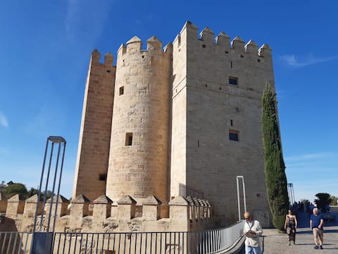 Successful Airbnb property: La Calahorra Loft in Córdoba