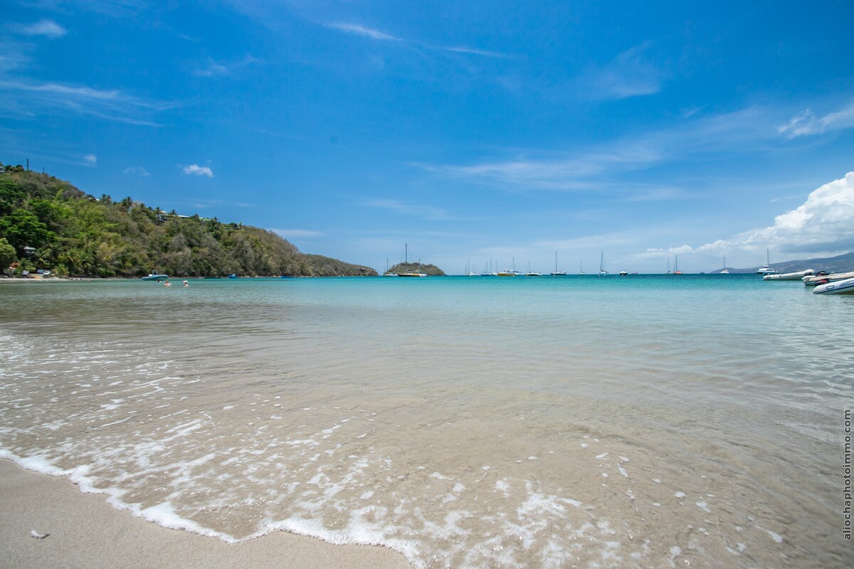 A serene beach scene captures gentle waves lapping at the sandy shoreline. In the background, a landscape of rolling hills is visible, dotted with lush greenery. The water displays a gradient of blue hues, with sailboats anchored in the distance under a clear sky.