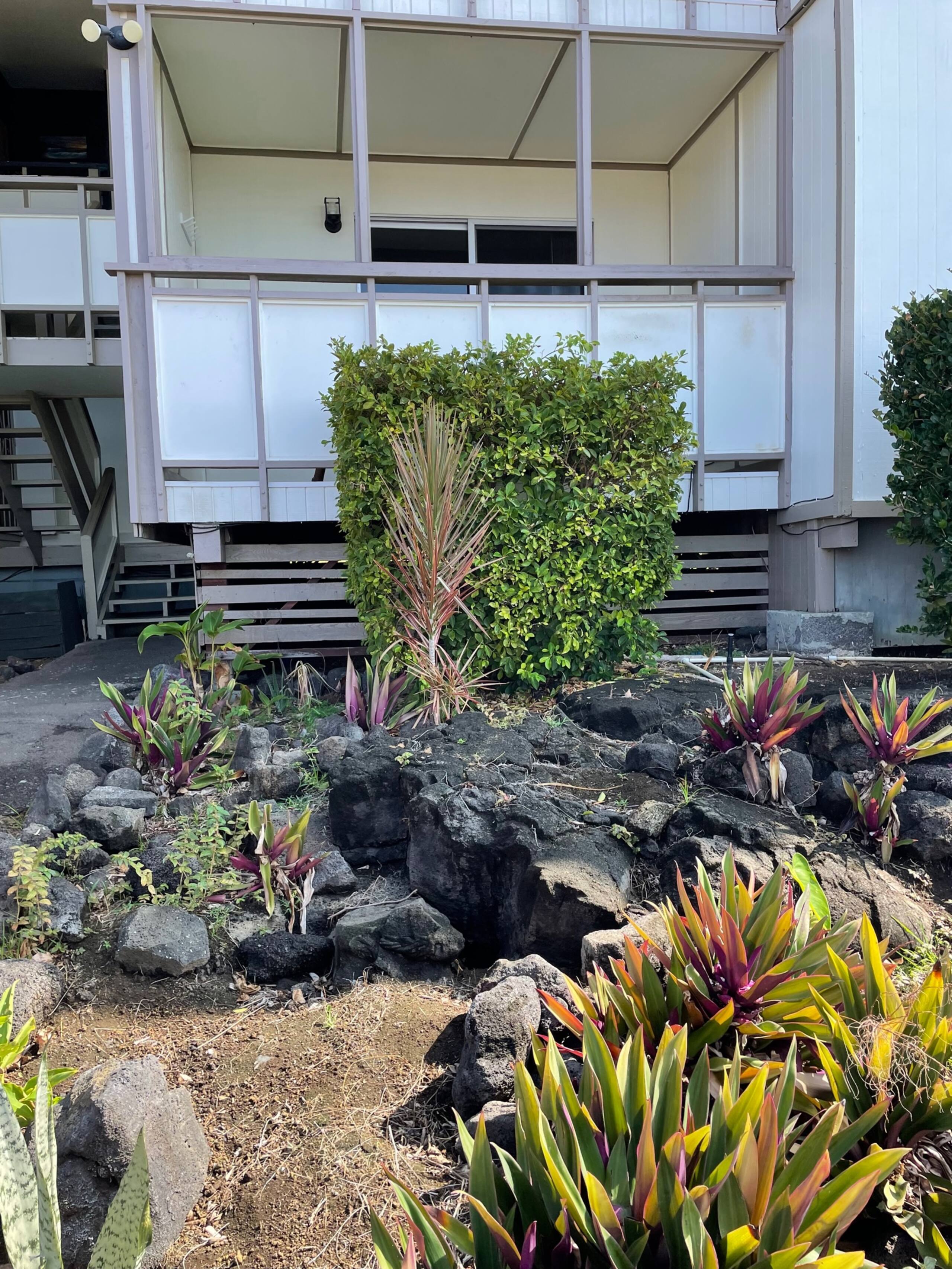 Condo in Kailua-Kona · ★4.88 · 1 bedroom · 1 bed · 1 bath - Image 57