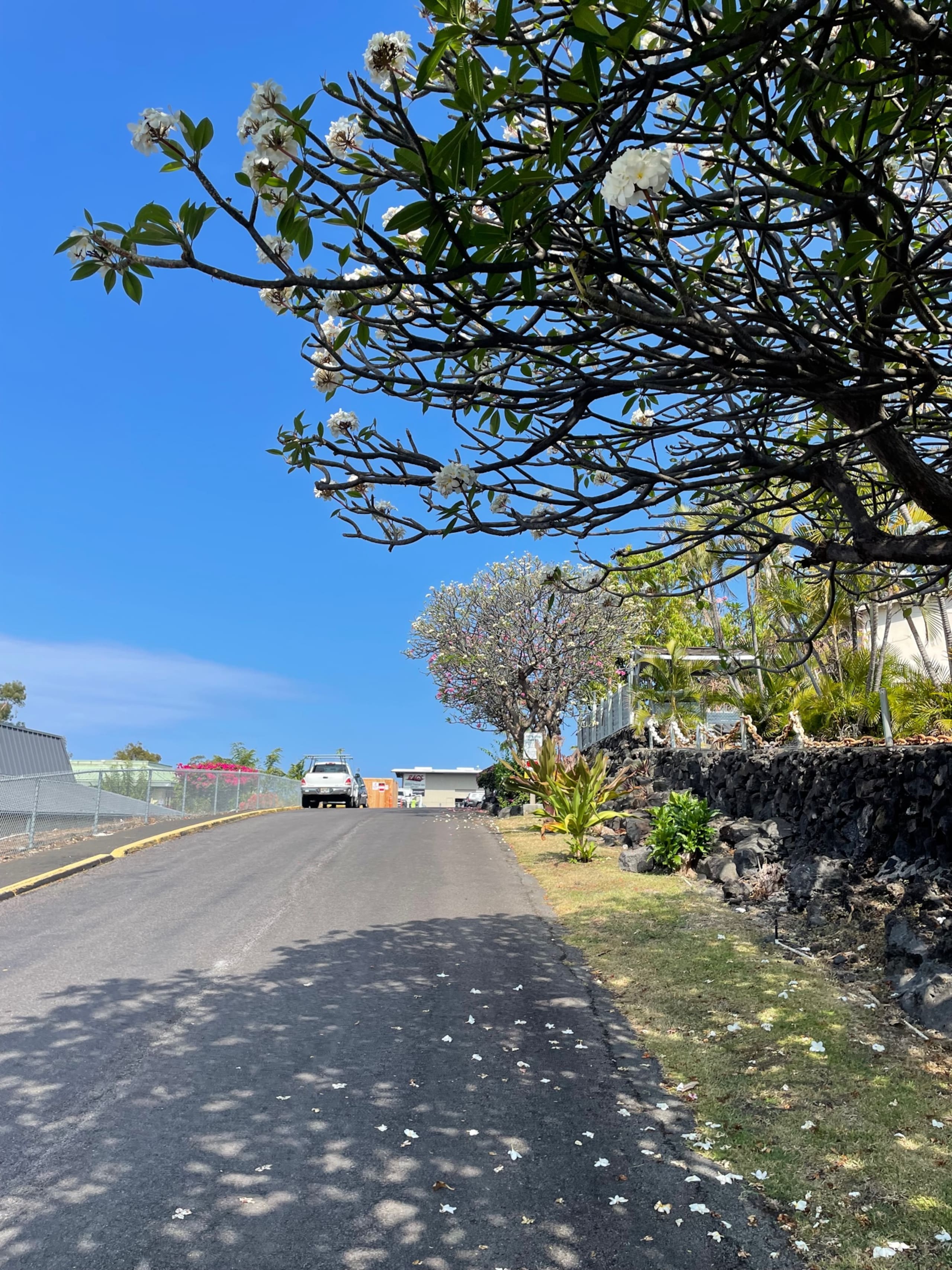 Condo in Kailua-Kona · ★4.88 · 1 bedroom · 1 bed · 1 bath - Image 60