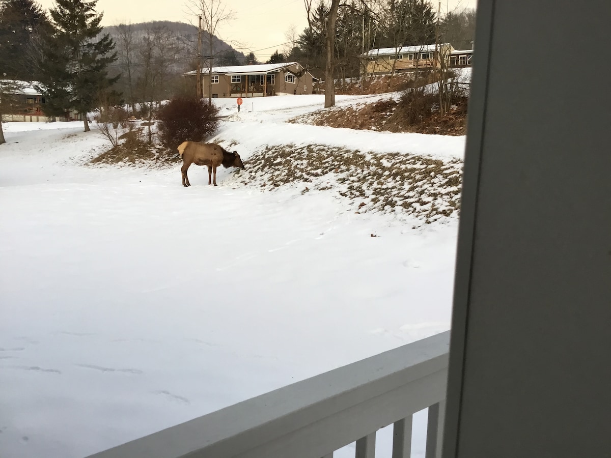 Listing image 14 at Stony Lick Lodge in Sinnamahoning