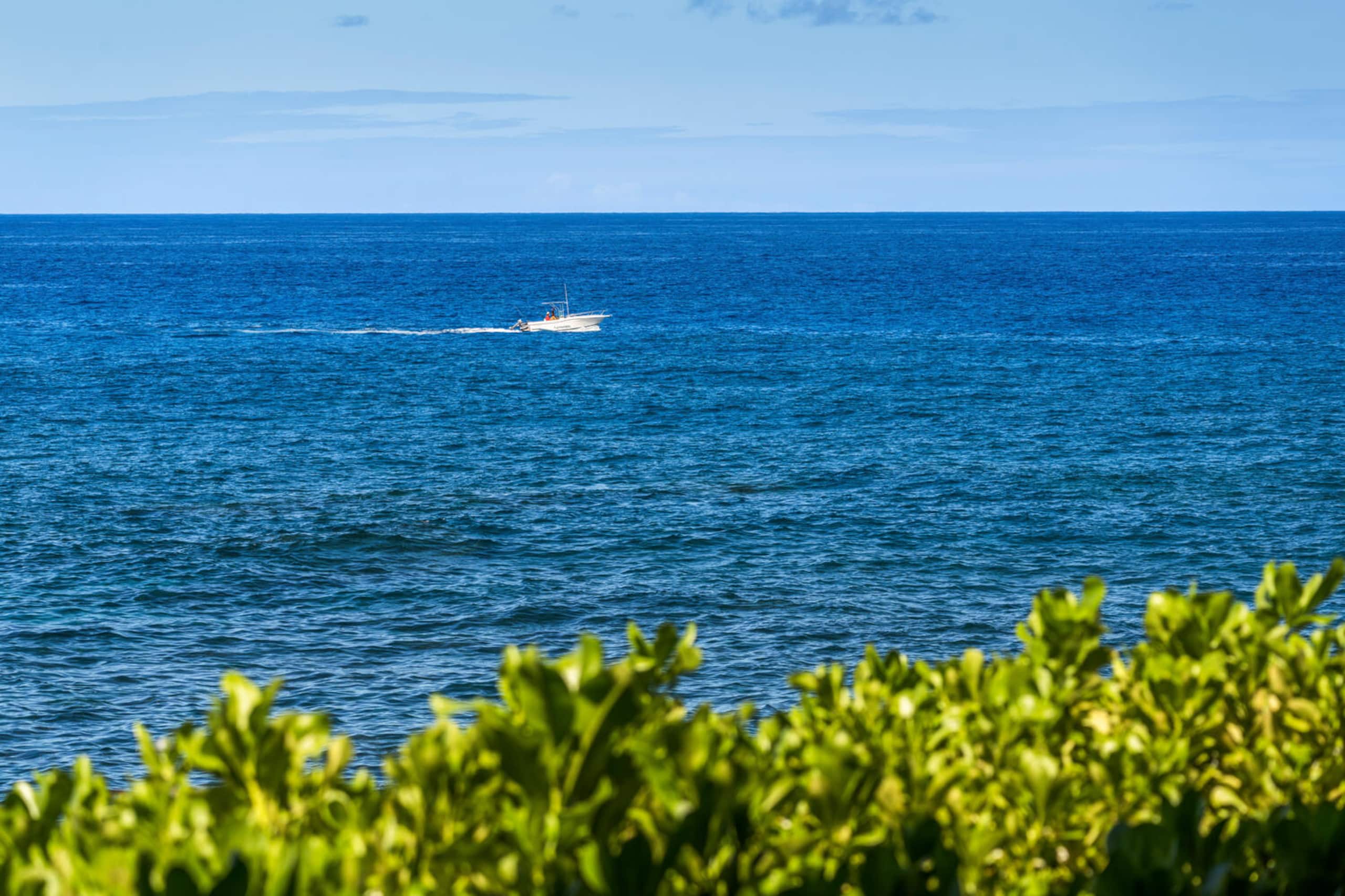 Condo in Kailua-Kona · ★4.95 · 2 bedrooms · 4 beds · 2 baths - Image 67