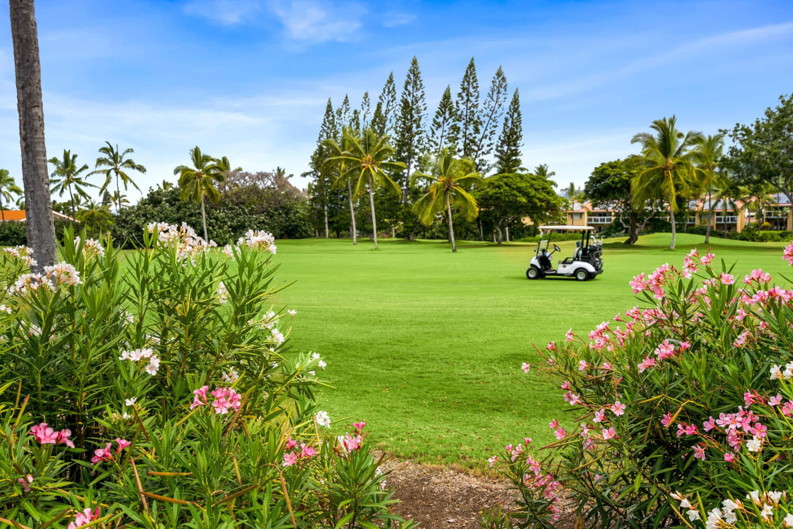 Condo in Kailua-Kona · ★4.95 · 2 bedrooms · 4 beds · 2 baths - Image 43