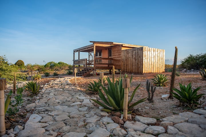 Wooden beach houses