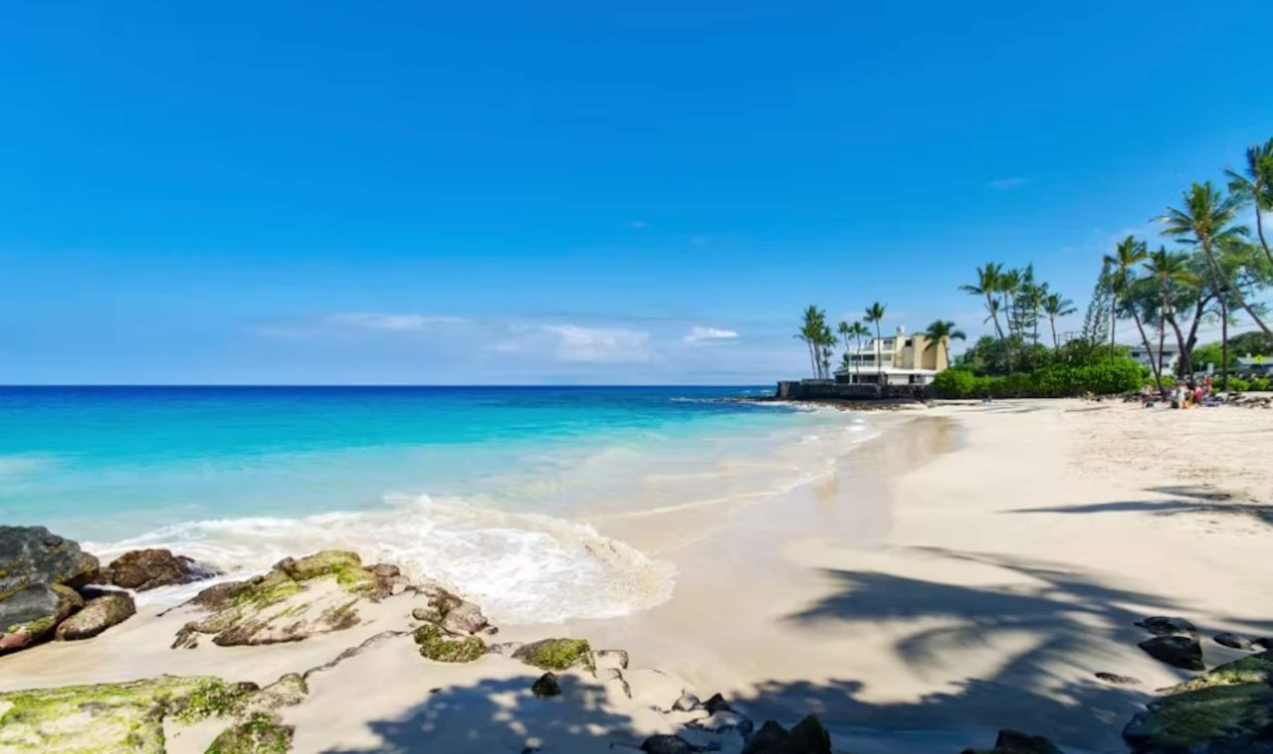 1br Ohana in Paradise, AC - Photo 24