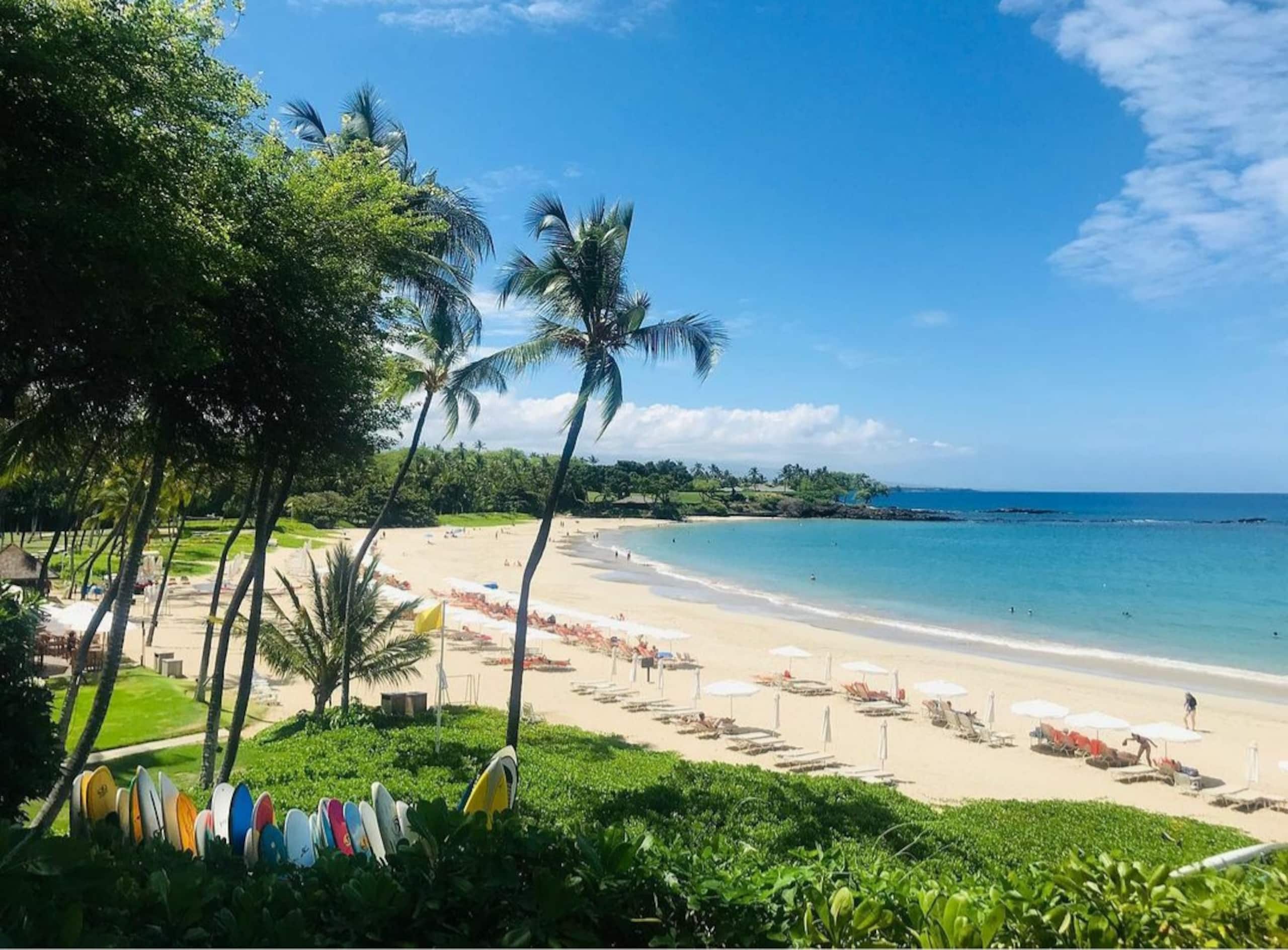 1br Ohana in Paradise, AC - Photo 22