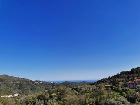 Casa Belvedere 
CITRA 008064-LT-0040