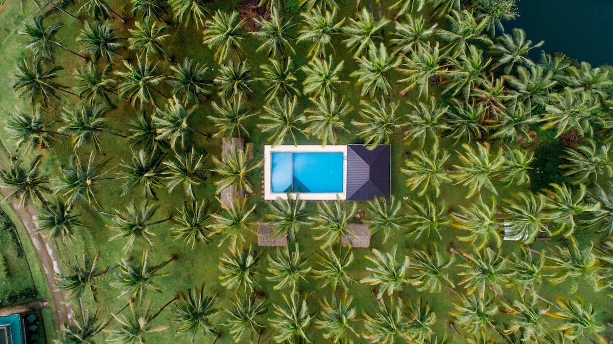 An aerial view captures a swimming pool surrounded by lush palm trees. Lounge chairs line the poolside, offering a relaxing space under the greenery. The bright blue water contrasts beautifully with the natural landscape, creating a serene outdoor atmosphere.