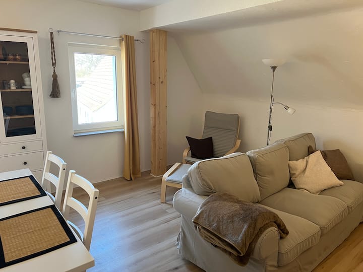 Große Wohnung Im Dach, Bis 4 Pers, Mit Pkw-parkpl. - Erlangen