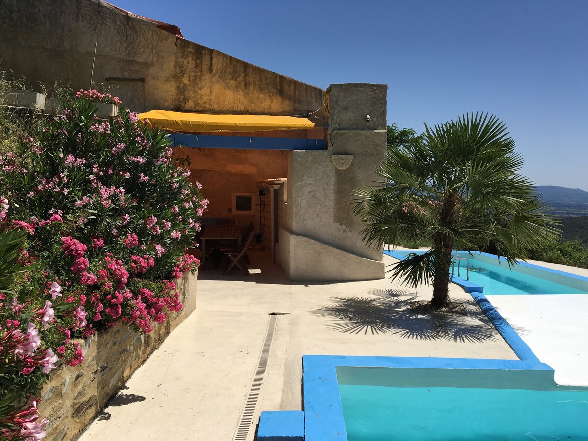 A sunlit outdoor area is presented, featuring a swimming pool with a bright blue border. Lush pink flowers and a palm tree add greenery, while a shaded seating area can be seen under a yellow awning. The backdrop encompasses a clear sky and distant hills.